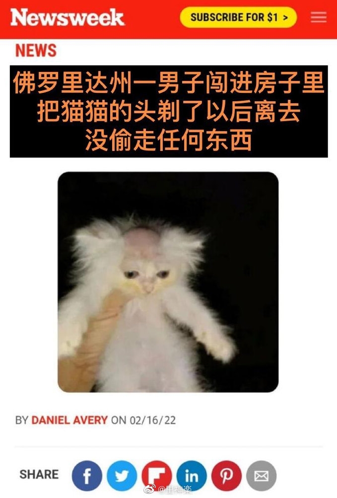 testimg